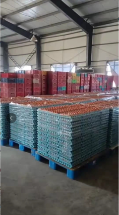 德惠市鴻德商貿(mào) 春節(jié)前后蛋價(jià)弱勢(shì)分析，3月份有望回暖